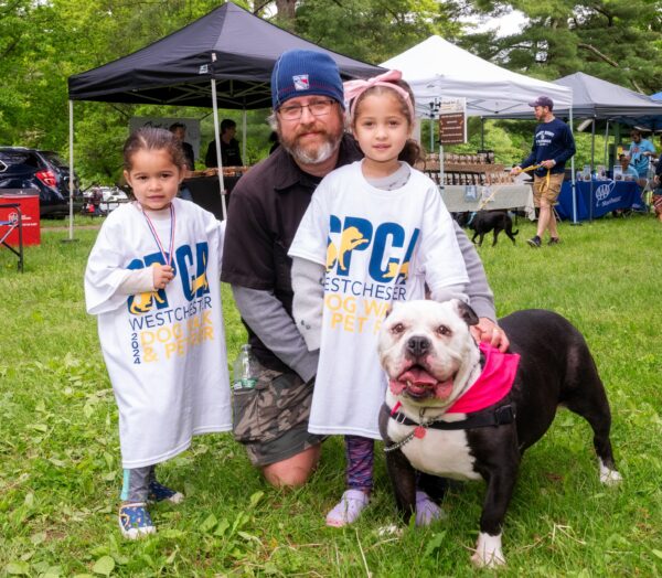 spca-dog-walk-spca-westchester-new-york