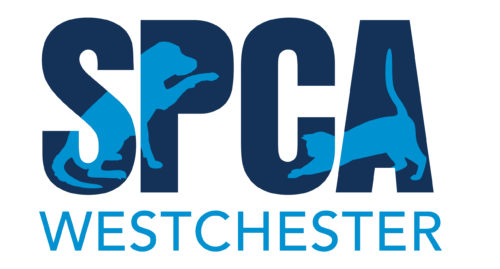 SPCA Rescue Angels - SPCA Westchester, New York