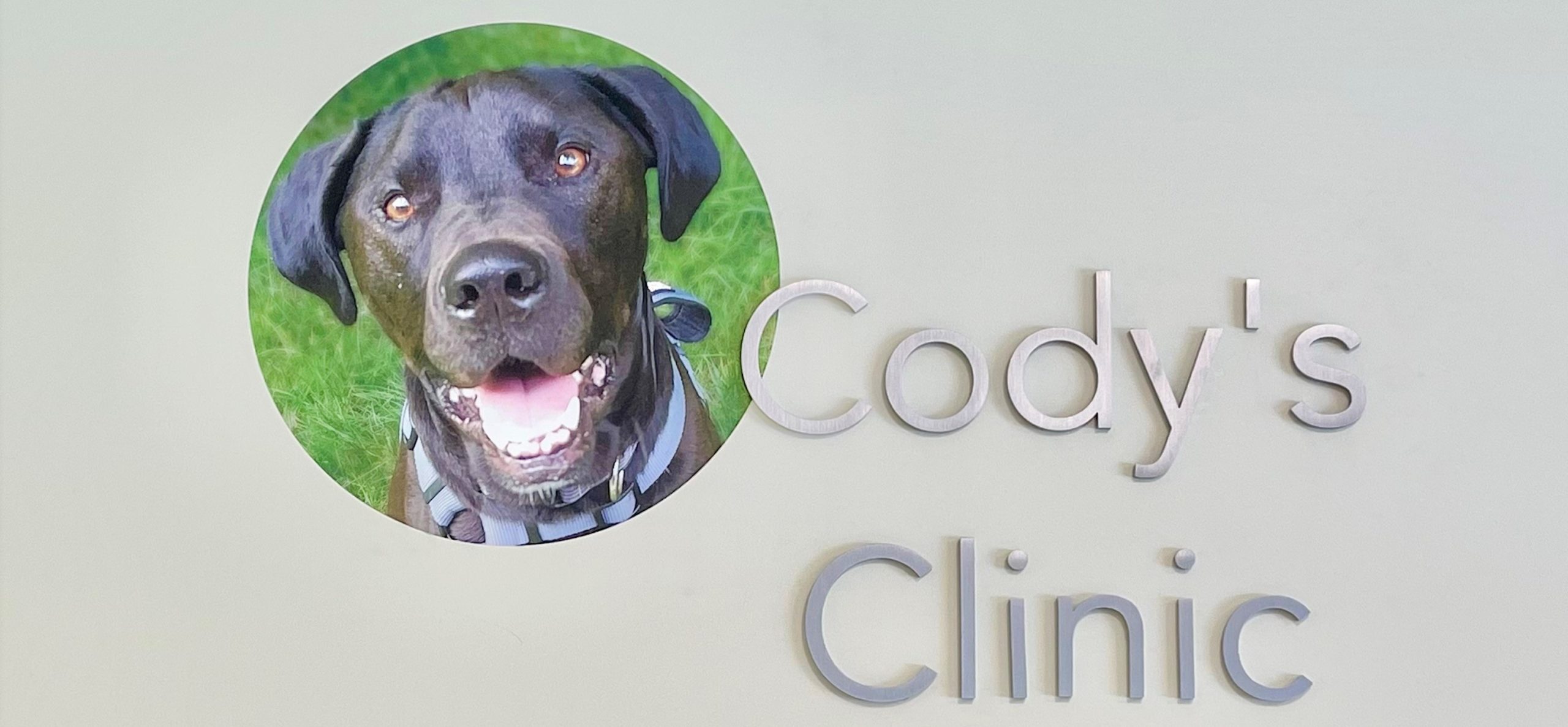 Cody s Clinic SPCA Westchester New York